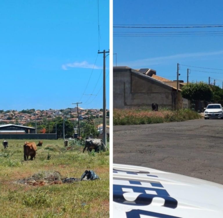 Messenger_creation_0091FB43-3572-42F2-AC8E-48F7CEDC6BE5