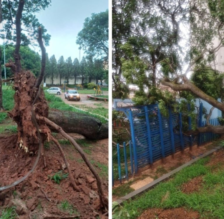 Messenger_creation_A7E0528A-96B5-4695-A813-67016B3112EE