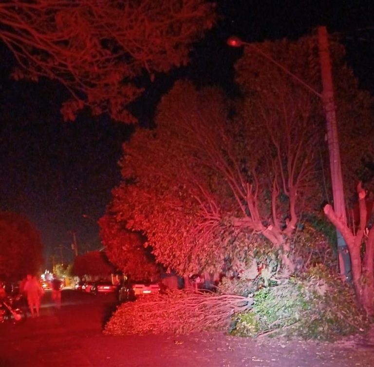 WhatsApp Image 2025-11-10 at 20.42