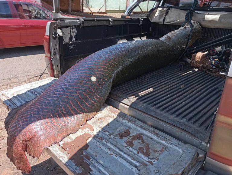 WhatsApp-Image-2025-11-11-at-12.45