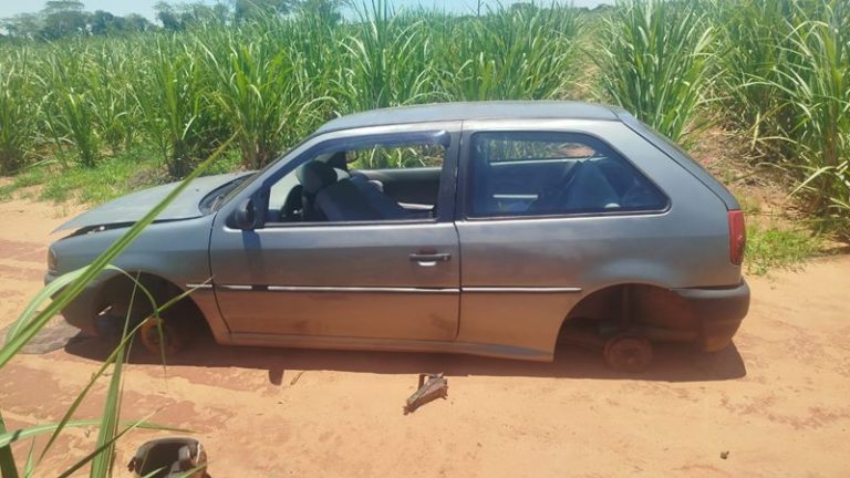 WhatsApp Image 2025-11-20 at 19.46