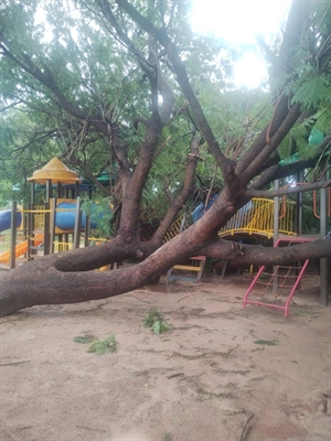 00000003028210012958967788769