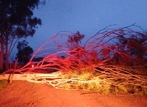 1382469138693d50b2ae577