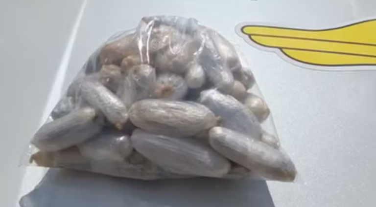 Captura de tela 2025-12-07 102616