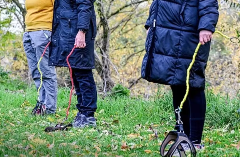 Captura de tela 2025-12-09 193026