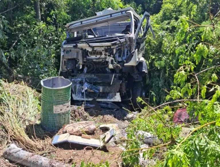 Captura de tela 2025-12-13 100004