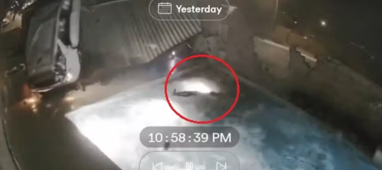 Captura de tela 2025-12-31 112251