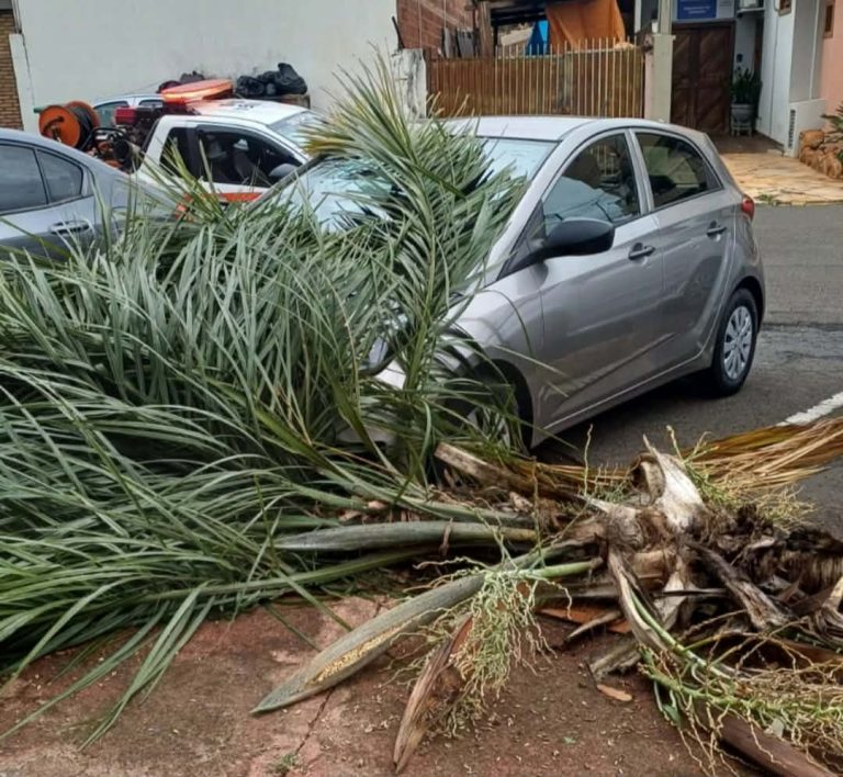 Messenger_creation_5039A63C-B906-4E2C-A48D-0A06173C9CFB