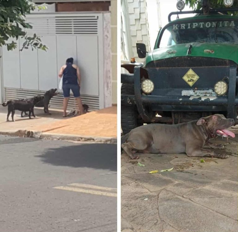 Messenger_creation_DEC475BC-D499-41D7-B999-1B511B58B359