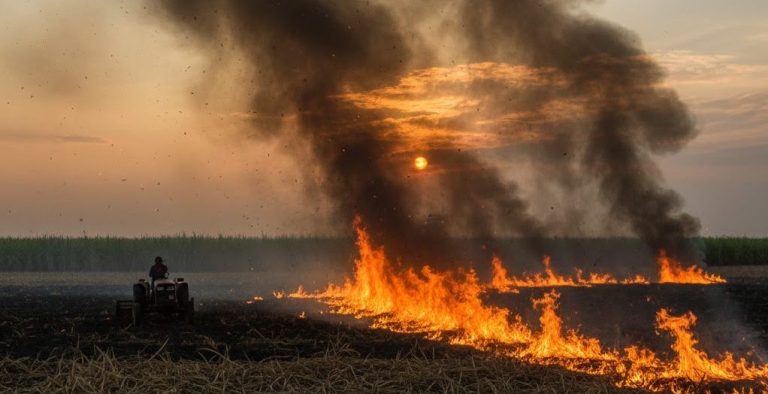 WhatsApp-Image-2025-10-08-at-14.09