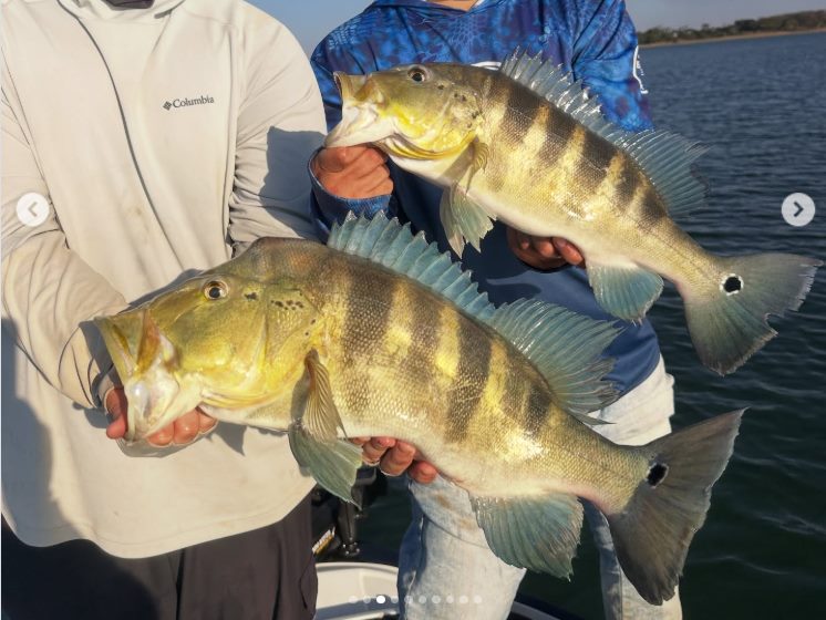 pescadores profissionais tem até o dia 31 para regularizar