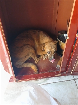 00000000066022761756038090434