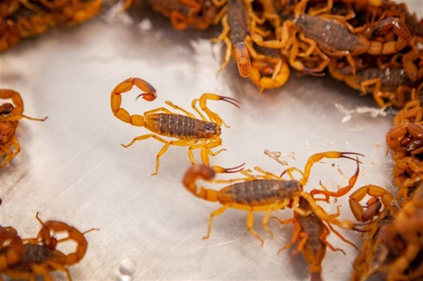 00000000081529537394656577723