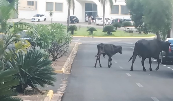 1988052914695eb4054ba0f