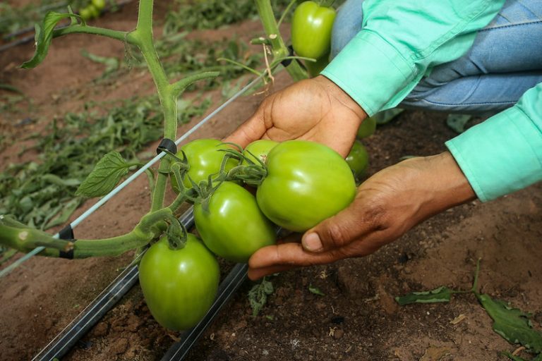 54736130372_d17a4a4118_c