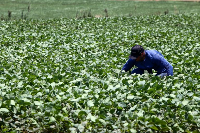 54915246283_665d82f77f_k-1024x683