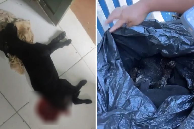 627cf7c59dd979a9c4d1d960c30090a3