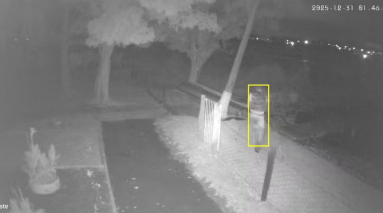 Captura de tela 2026-01-01 113551