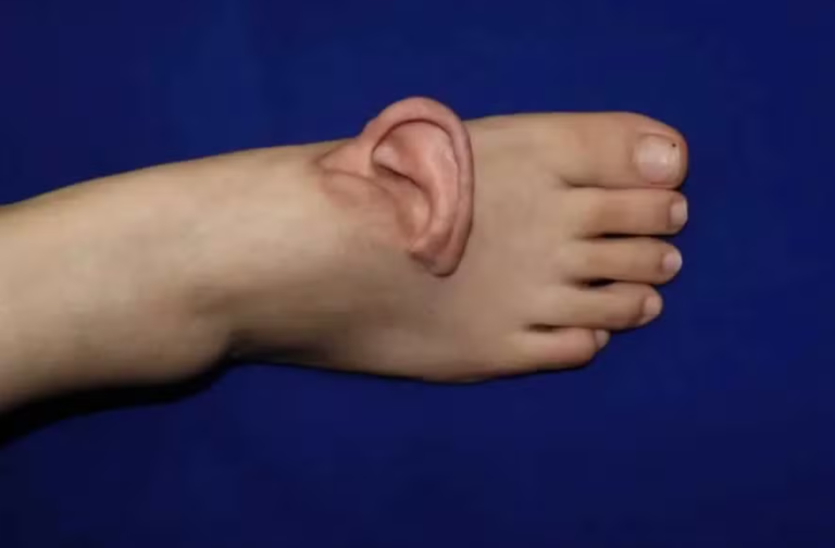 Captura de tela 2026-01-02 102326