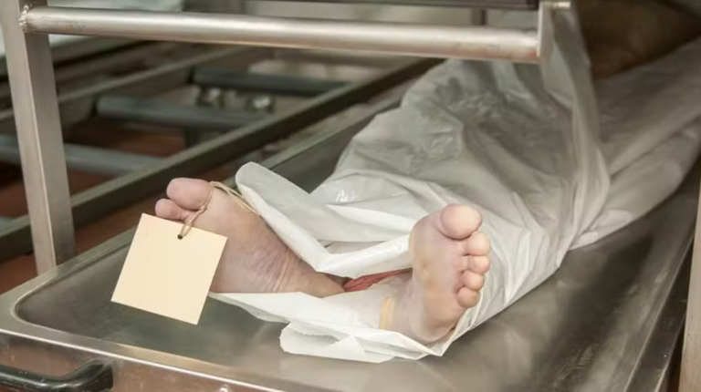 Captura de tela 2026-01-03 100737