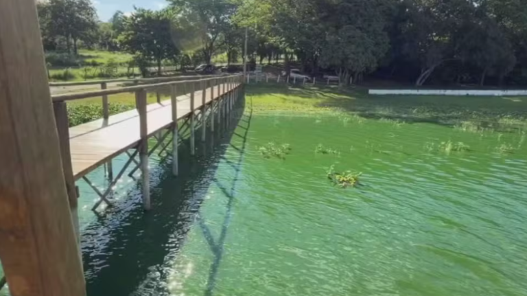 Captura de tela 2026-01-08 105714