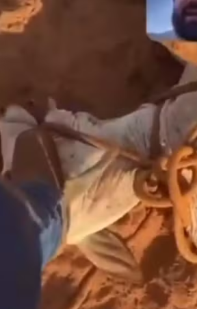 Captura de tela 2026-01-11 102449