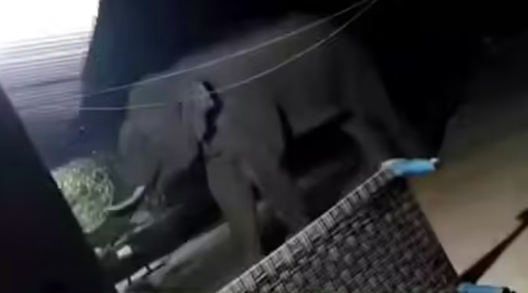 Captura de tela 2026-01-12 161221