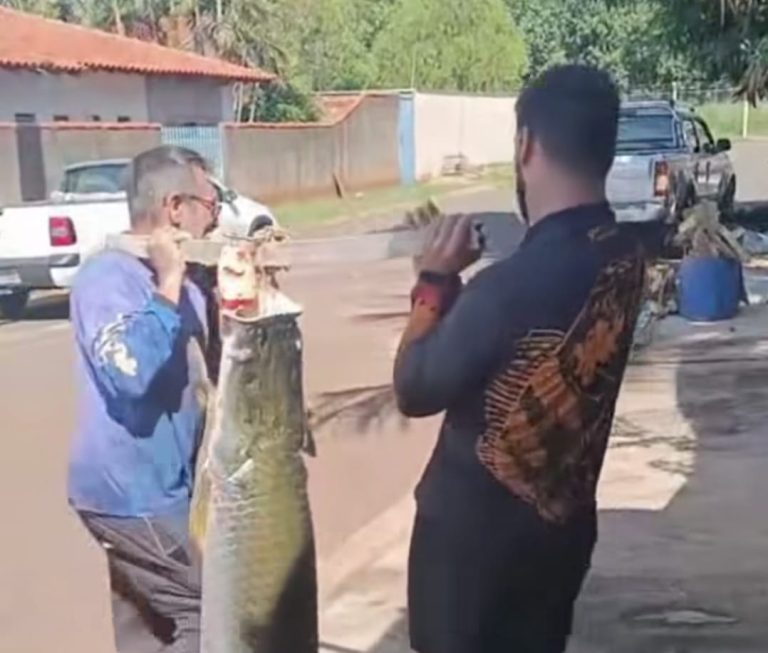 WhatsApp Image 2026-01-12 at 07.49