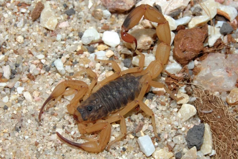 agencia-sp-a695a1a6-e006-4f61-a8b2-9a5c40ad9c9b