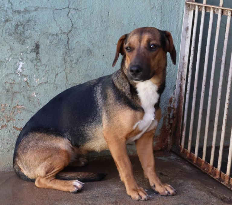 m_76_0_1_09012026094611