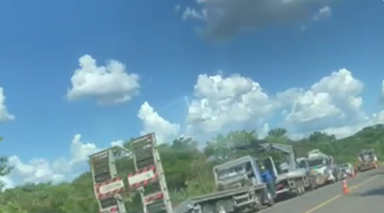 Captura-de-tela-2026-02-17-114601