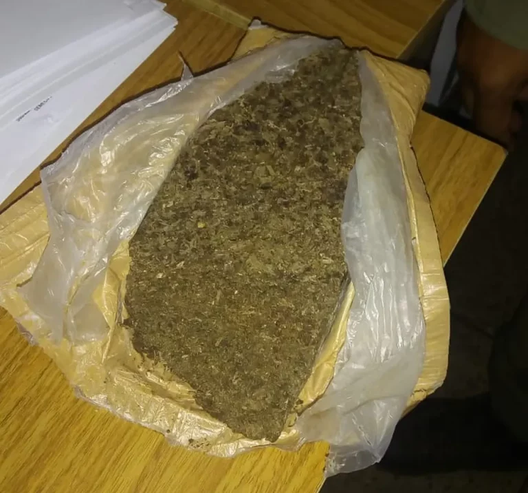 whatsapp-image-2019-08-27-at-16.54